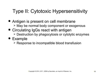 Type II: Cytotoxic Hypersensitivity 
 Antigen is present on cell membrane 
 May be normal body component or exogenous 
 Circulating IgGs react with antigen 
 Destruction by phagocytosis or cytolytic enzymes 
•Copyright © 2014, 2011, 2006 by Saunders, an imprint of Elsevier, Inc. •35 
 Example 
 Response to incompatible blood transfusion 
 
