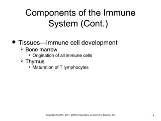 Components of the Immune 
System (Cont.) 
 Tissues—immune cell development 
 Bone marrow 
• Origination of all immune cells 
•Copyright © 2014, 2011, 2006 by Saunders, an imprint of Elsevier, Inc. •4 
 Thymus 
• Maturation of T lymphocytes 
 