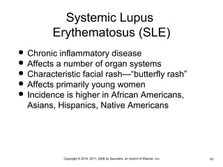 Systemic Lupus 
Erythematosus (SLE) 
 Chronic inflammatory disease 
 Affects a number of organ systems 
 Characteristic facial rash—“butterfly rash” 
 Affects primarily young women 
 Incidence is higher in African Americans, 
Asians, Hispanics, Native Americans 
•Copyright © 2014, 2011, 2006 by Saunders, an imprint of Elsevier, Inc. •43 
 