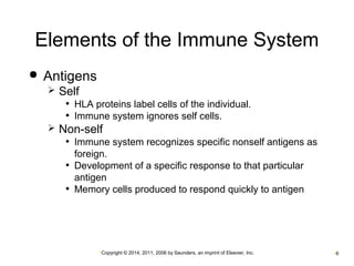 Elements of the Immune System 
•Copyright © 2014, 2011, 2006 by Saunders, an imprint of Elsevier, Inc. •6 
 Antigens 
 Self 
• HLA proteins label cells of the individual. 
• Immune system ignores self cells. 
 Non-self 
• Immune system recognizes specific nonself antigens as 
foreign. 
• Development of a specific response to that particular 
antigen 
• Memory cells produced to respond quickly to antigen 
 