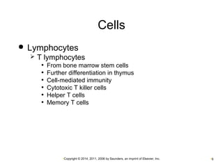 Cells 
 Lymphocytes 
 T lymphocytes 
• From bone marrow stem cells 
• Further differentiation in thymus 
• Cell-mediated immunity 
• Cytotoxic T killer cells 
• Helper T cells 
• Memory T cells 
•Copyright © 2014, 2011, 2006 by Saunders, an imprint of Elsevier, Inc. •9 
 