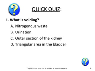 Copyright © 2014, 2011, 2007 by Saunders, an imprint of Elsevier Inc. 12
QUICK QUIZ:
1. What is voiding?
A. Nitrogenous waste
B. Urination
C. Outer section of the kidney
D. Triangular area in the bladder
 