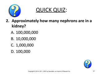 Copyright © 2014, 2011, 2007 by Saunders, an imprint of Elsevier Inc. 21
QUICK QUIZ:
2. Approximately how many nephrons are in a
kidney?
A. 100,000,000
B. 10,000,000
C. 1,000,000
D. 100,000
 