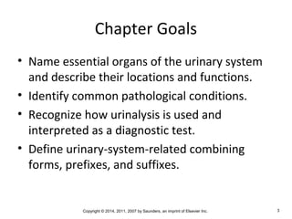 Copyright © 2014, 2011, 2007 by Saunders, an imprint of Elsevier Inc. 3
Chapter Goals
• Name essential organs of the urinary system
and describe their locations and functions.
• Identify common pathological conditions.
• Recognize how urinalysis is used and
interpreted as a diagnostic test.
• Define urinary-system-related combining
forms, prefixes, and suffixes.
 