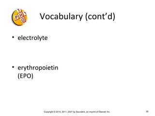 Copyright © 2014, 2011, 2007 by Saunders, an imprint of Elsevier Inc. 30
Vocabulary (cont’d)
• electrolyte
• erythropoietin
(EPO)
 