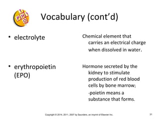 Copyright © 2014, 2011, 2007 by Saunders, an imprint of Elsevier Inc. 31
Vocabulary (cont’d)
• electrolyte
• erythropoietin
(EPO)
Chemical element that
carries an electrical charge
when dissolved in water.
Hormone secreted by the
kidney to stimulate
production of red blood
cells by bone marrow;
-poietin means a
substance that forms.
 