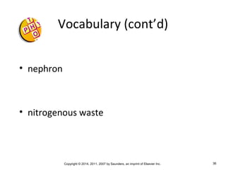 Copyright © 2014, 2011, 2007 by Saunders, an imprint of Elsevier Inc. 36
Vocabulary (cont’d)
• nephron
• nitrogenous waste
 