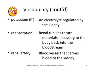 Copyright © 2014, 2011, 2007 by Saunders, an imprint of Elsevier Inc. 39
Vocabulary (cont’d)
• potassium (K+
)
• reabsorption
• renal artery
An electrolyte regulated by
the kidney
Renal tubules return
materials necessary to the
body back into the
bloodstream
Blood vessel that carries
blood to the kidney
 