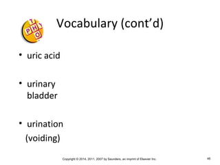 Copyright © 2014, 2011, 2007 by Saunders, an imprint of Elsevier Inc. 46
Vocabulary (cont’d)
• uric acid
• urinary
bladder
• urination
(voiding)
 