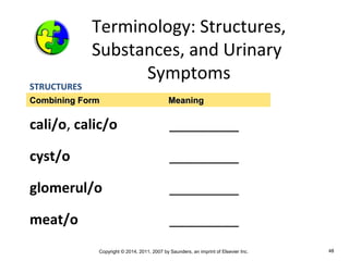 Copyright © 2014, 2011, 2007 by Saunders, an imprint of Elsevier Inc. 48
Terminology: Structures,
Substances, and Urinary
Symptoms
STRUCTURES
cali/o, calic/o _________
cyst/o _________
glomerul/o _________
meat/o _________
Combining FormCombining Form MeaningMeaning
 