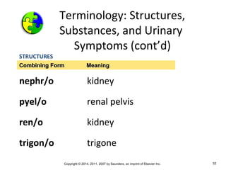 Copyright © 2014, 2011, 2007 by Saunders, an imprint of Elsevier Inc. 53
Terminology: Structures,
Substances, and Urinary
Symptoms (cont’d)
STRUCTURES
nephr/o kidney
pyel/o renal pelvis
ren/o kidney
trigon/o trigone
Combining Form MeaningCombining Form Meaning
 
