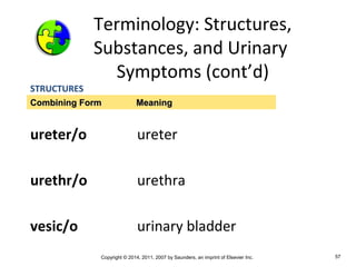 Copyright © 2014, 2011, 2007 by Saunders, an imprint of Elsevier Inc. 57
Terminology: Structures,
Substances, and Urinary
Symptoms (cont’d)
STRUCTURES
ureter/o ureter
urethr/o urethra
vesic/o urinary bladder
Combining Form MeaningCombining Form Meaning
 