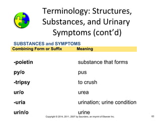 Copyright © 2014, 2011, 2007 by Saunders, an imprint of Elsevier Inc. 63
SUBSTANCES and SYMPTOMS
-poietin substance that forms
py/o pus
-tripsy to crush
ur/o urea
-uria urination; urine condition
urin/o urine
Combining Form or SuffixCombining Form or Suffix MeaningMeaning
Terminology: Structures,
Substances, and Urinary
Symptoms (cont’d)
 