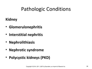 Copyright © 2014, 2011, 2007 by Saunders, an imprint of Elsevier Inc. 68
Pathologic Conditions
Kidney
• Glomerulonephritis
• Interstitial nephritis
• Nephrolithiasis
• Nephrotic syndrome
• Polycystic kidneys (PKD)
 