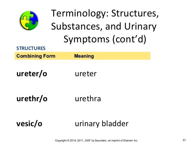 medical terminology chapter 7 combining form for bladder
