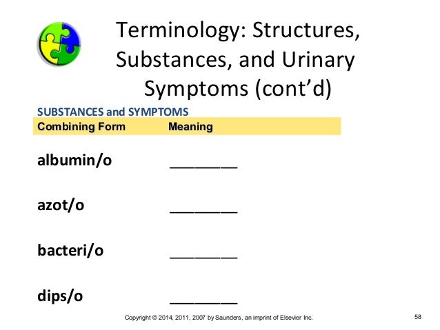 medical terminology chapter 7 the combining form for the tubes that move urine from the kidneys to the bladder is