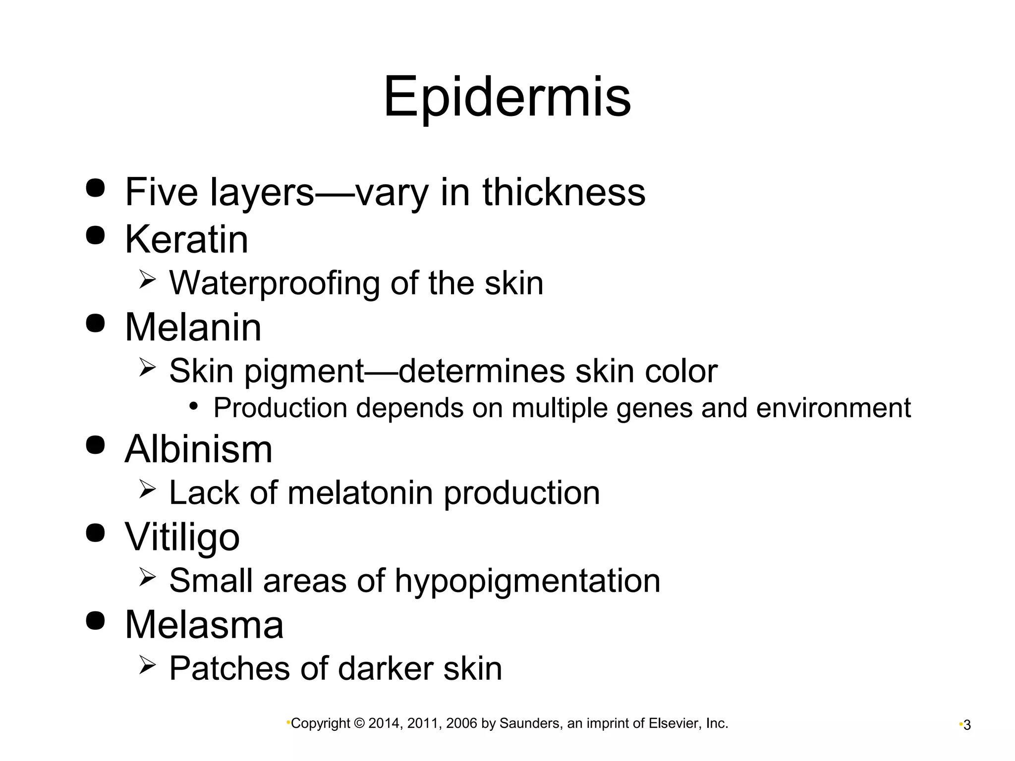 Epidermis 
 Five layers—vary in thickness 
 Keratin 
 Waterproofing of the skin 
•Copyright © 2014, 2011, 2006 by Saunders, an imprint of Elsevier, Inc. •3 
 Melanin 
 Skin pigment—determines skin color 
• Production depends on multiple genes and environment 
 Albinism 
 Lack of melatonin production 
 Vitiligo 
 Small areas of hypopigmentation 
 Melasma 
 Patches of darker skin 
 