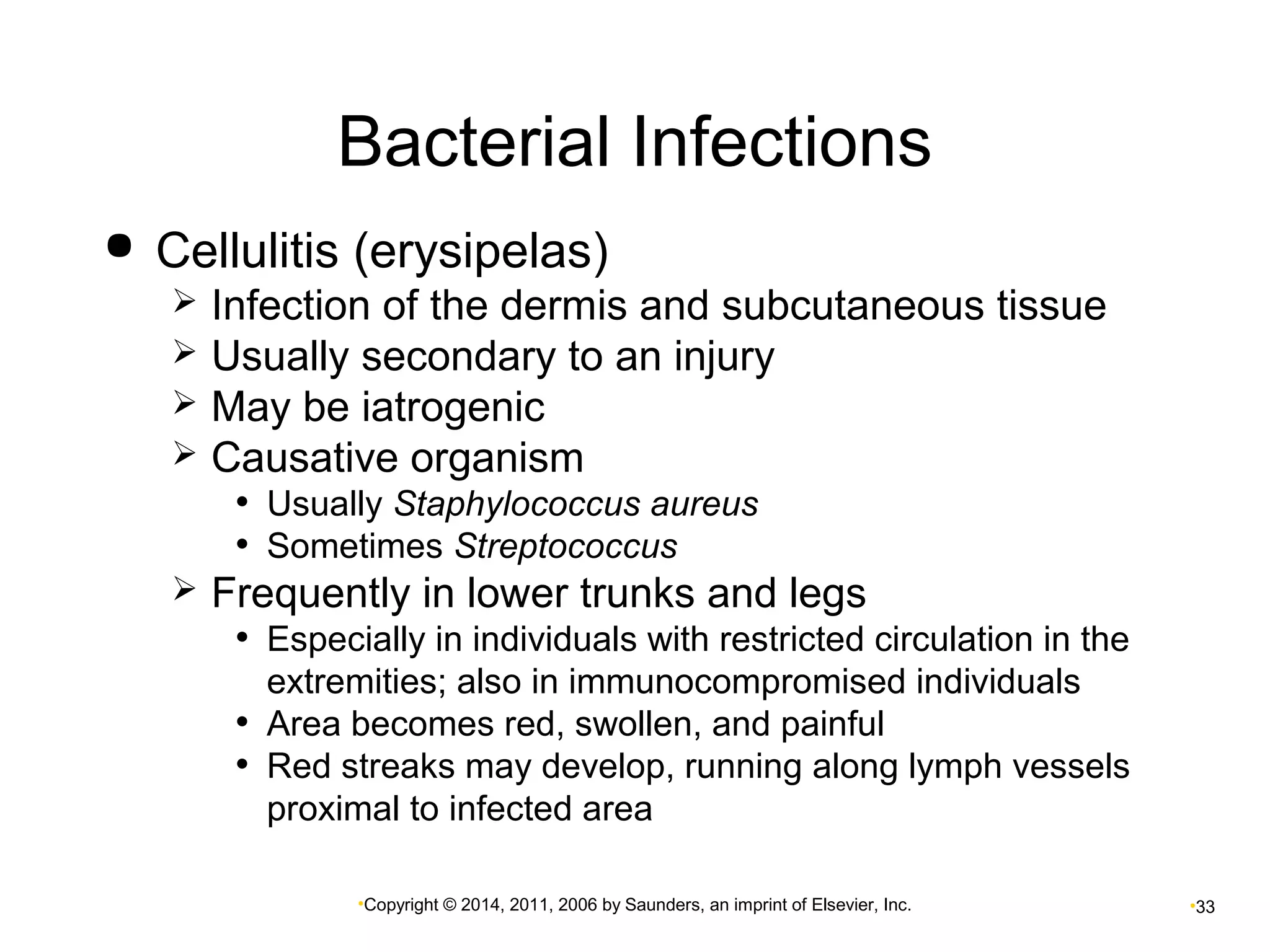 Bacterial Infections 
 Cellulitis (erysipelas) 
 Infection of the dermis and subcutaneous tissue 
 Usually secondary to an injury 
 May be iatrogenic 
 Causative organism 
• Usually Staphylococcus aureus 
• Sometimes Streptococcus 
 Frequently in lower trunks and legs 
• Especially in individuals with restricted circulation in the 
extremities; also in immunocompromised individuals 
• Area becomes red, swollen, and painful 
• Red streaks may develop, running along lymph vessels 
proximal to infected area 
•Copyright © 2014, 2011, 2006 by Saunders, an imprint of Elsevier, Inc. •33 
 