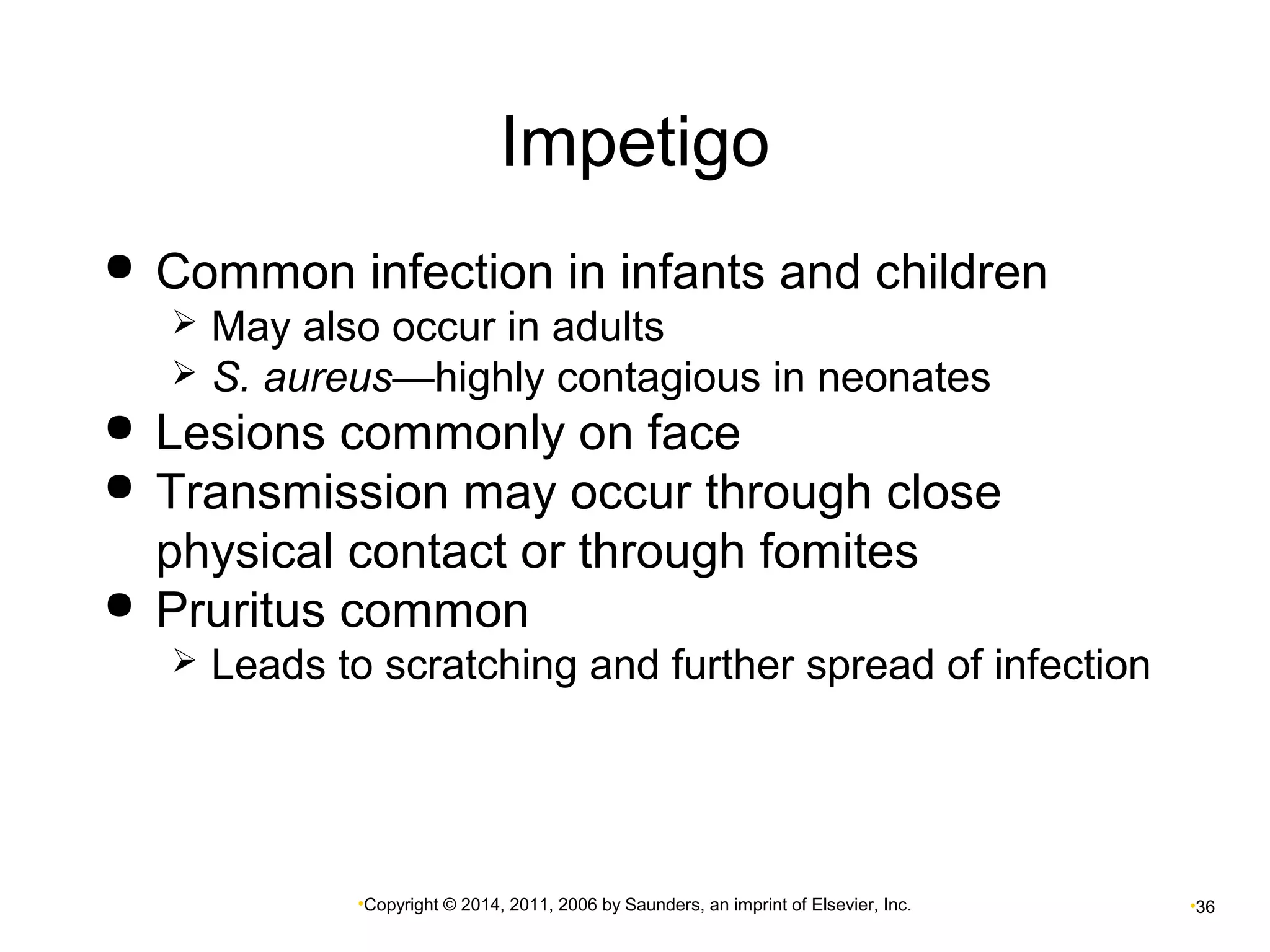 Impetigo 
 Common infection in infants and children 
 May also occur in adults 
 S. aureus—highly contagious in neonates 
 Lesions commonly on face 
 Transmission may occur through close 
physical contact or through fomites 
 Pruritus common 
 Leads to scratching and further spread of infection 
•Copyright © 2014, 2011, 2006 by Saunders, an imprint of Elsevier, Inc. •36 
 