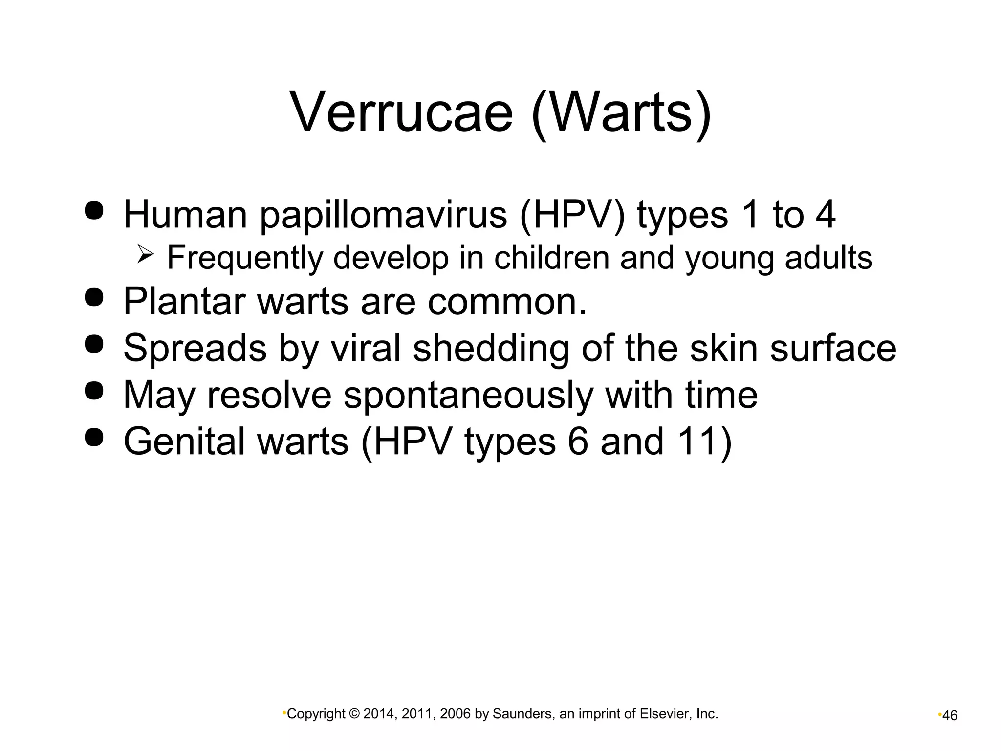 Verrucae (Warts) 
 Human papillomavirus (HPV) types 1 to 4 
 Frequently develop in children and young adults 
 Plantar warts are common. 
 Spreads by viral shedding of the skin surface 
 May resolve spontaneously with time 
 Genital warts (HPV types 6 and 11) 
•Copyright © 2014, 2011, 2006 by Saunders, an imprint of Elsevier, Inc. •46 
 