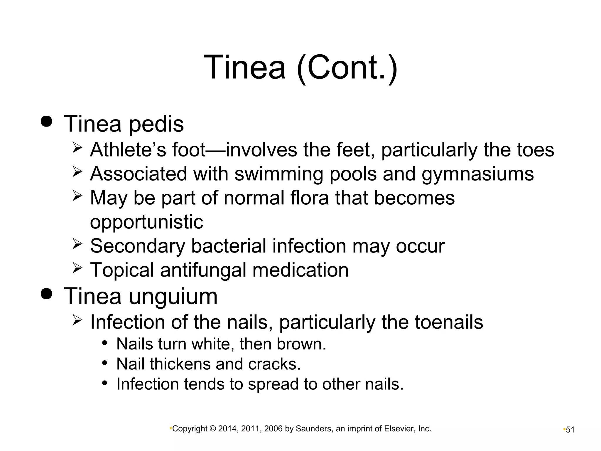 Tinea (Cont.) 
 Tinea pedis 
 Athlete’s foot—involves the feet, particularly the toes 
 Associated with swimming pools and gymnasiums 
 May be part of normal flora that becomes 
opportunistic 
 Secondary bacterial infection may occur 
 Topical antifungal medication 
 Tinea unguium 
 Infection of the nails, particularly the toenails 
• Nails turn white, then brown. 
• Nail thickens and cracks. 
• Infection tends to spread to other nails. 
•Copyright © 2014, 2011, 2006 by Saunders, an imprint of Elsevier, Inc. •51 
 