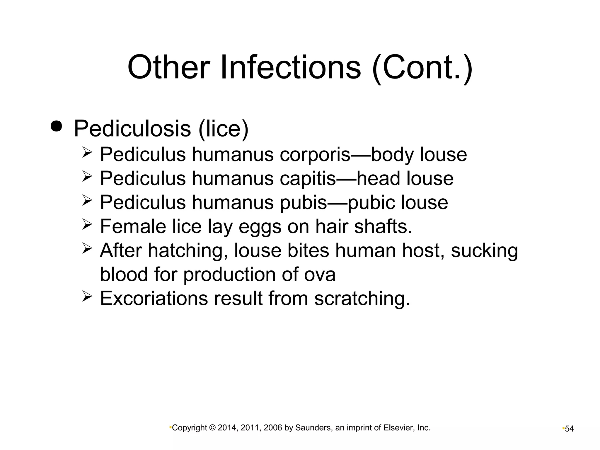 Other Infections (Cont.) 
 Pediculosis (lice) 
 Pediculus humanus corporis—body louse 
 Pediculus humanus capitis—head louse 
 Pediculus humanus pubis—pubic louse 
 Female lice lay eggs on hair shafts. 
 After hatching, louse bites human host, sucking 
blood for production of ova 
 Excoriations result from scratching. 
•Copyright © 2014, 2011, 2006 by Saunders, an imprint of Elsevier, Inc. •54 
 