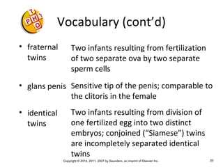 Copyright © 2014, 2011, 2007 by Saunders, an imprint of Elsevier Inc. 20
Vocabulary (cont’d)
• fraternal
twins
• glans penis
• identical
twins
Two infants resulting from fertilization
of two separate ova by two separate
sperm cells
Sensitive tip of the penis; comparable to
the clitoris in the female
Two infants resulting from division of
one fertilized egg into two distinct
embryos; conjoined (“Siamese”) twins
are incompletely separated identical
twins
 