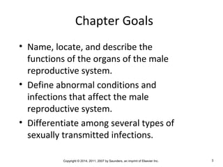 Copyright © 2014, 2011, 2007 by Saunders, an imprint of Elsevier Inc. 3
Chapter Goals
• Name, locate, and describe the
functions of the organs of the male
reproductive system.
• Define abnormal conditions and
infections that affect the male
reproductive system.
• Differentiate among several types of
sexually transmitted infections.
 