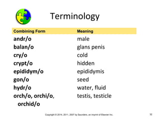 Copyright © 2014, 2011, 2007 by Saunders, an imprint of Elsevier Inc. 32
Terminology
andr/o male
balan/o glans penis
cry/o cold
crypt/o hidden
epididym/o epididymis
gon/o seed
hydr/o water, fluid
orch/o, orchi/o, testis, testicle
orchid/o
Combining FormCombining Form MeaningMeaning
 