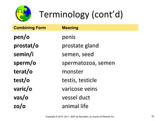 Copyright © 2014, 2011, 2007 by Saunders, an imprint of Elsevier Inc. 33
Terminology (cont’d)
pen/o penis
prostat/o prostate gland
semin/i semen, seed
sperm/o spermatozoa, semen
terat/o monster
test/o testis, testicle
varic/o varicose veins
vas/o vessel duct
zo/o animal life
Combining FormCombining Form MeaningMeaning
 