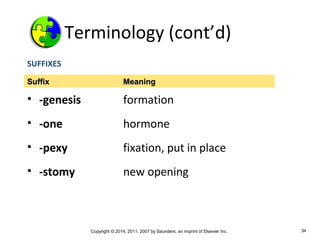 Copyright © 2014, 2011, 2007 by Saunders, an imprint of Elsevier Inc. 34
Terminology (cont’d)
SUFFIXES
• -genesis formation
• -one hormone
• -pexy fixation, put in place
• -stomy new opening
SuffixSuffix MeaningMeaning
 