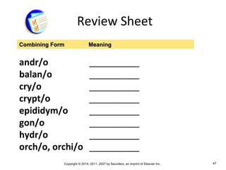 Copyright © 2014, 2011, 2007 by Saunders, an imprint of Elsevier Inc. 47
Review Sheet
andr/o __________
balan/o __________
cry/o __________
crypt/o __________
epididym/o __________
gon/o __________
hydr/o __________
orch/o, orchi/o __________
Combining FormCombining Form MeaningMeaning
 