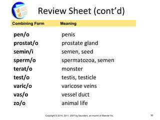 Copyright © 2014, 2011, 2007 by Saunders, an imprint of Elsevier Inc. 50
Review Sheet (cont’d)
pen/o penis
prostat/o prostate gland
semin/i semen, seed
sperm/o spermatozoa, semen
terat/o monster
test/o testis, testicle
varic/o varicose veins
vas/o vessel duct
zo/o animal life
Combining FormCombining Form MeaningMeaning
 
