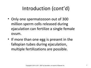 Copyright © 2014, 2011, 2007 by Saunders, an imprint of Elsevier Inc. 7
Introduction (cont’d)
• Only one spermatozoon out of 300
million sperm cells released during
ejaculation can fertilize a single female
ovum.
• If more than one egg is present in the
fallopian tubes during ejaculation,
multiple fertilizations are possible.
 