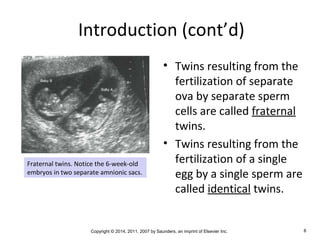 Copyright © 2014, 2011, 2007 by Saunders, an imprint of Elsevier Inc. 8
Introduction (cont’d)
• Twins resulting from the
fertilization of separate
ova by separate sperm
cells are called fraternal
twins.
• Twins resulting from the
fertilization of a single
egg by a single sperm are
called identical twins.
Fraternal twins. Notice the 6-week-old
embryos in two separate amnionic sacs..
 