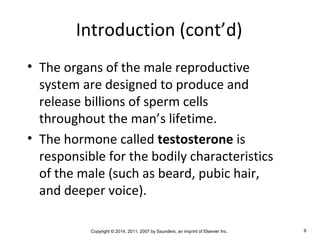 Copyright © 2014, 2011, 2007 by Saunders, an imprint of Elsevier Inc. 9
Introduction (cont’d)
• The organs of the male reproductive
system are designed to produce and
release billions of sperm cells
throughout the man’s lifetime.
• The hormone called testosterone is
responsible for the bodily characteristics
of the male (such as beard, pubic hair,
and deeper voice).
 