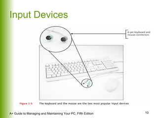 Input Devices 