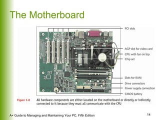 The Motherboard 