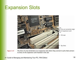 Expansion Slots 