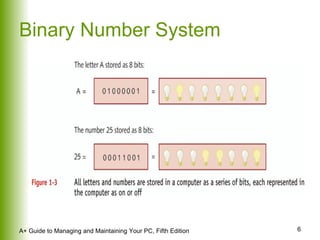 Binary Number System 