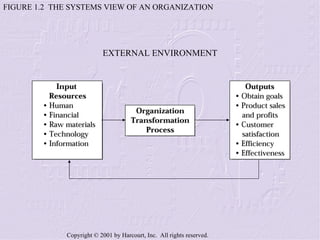FIGURE 1.2  THE SYSTEMS VIEW OF AN ORGANIZATION EXTERNAL ENVIRONMENT 