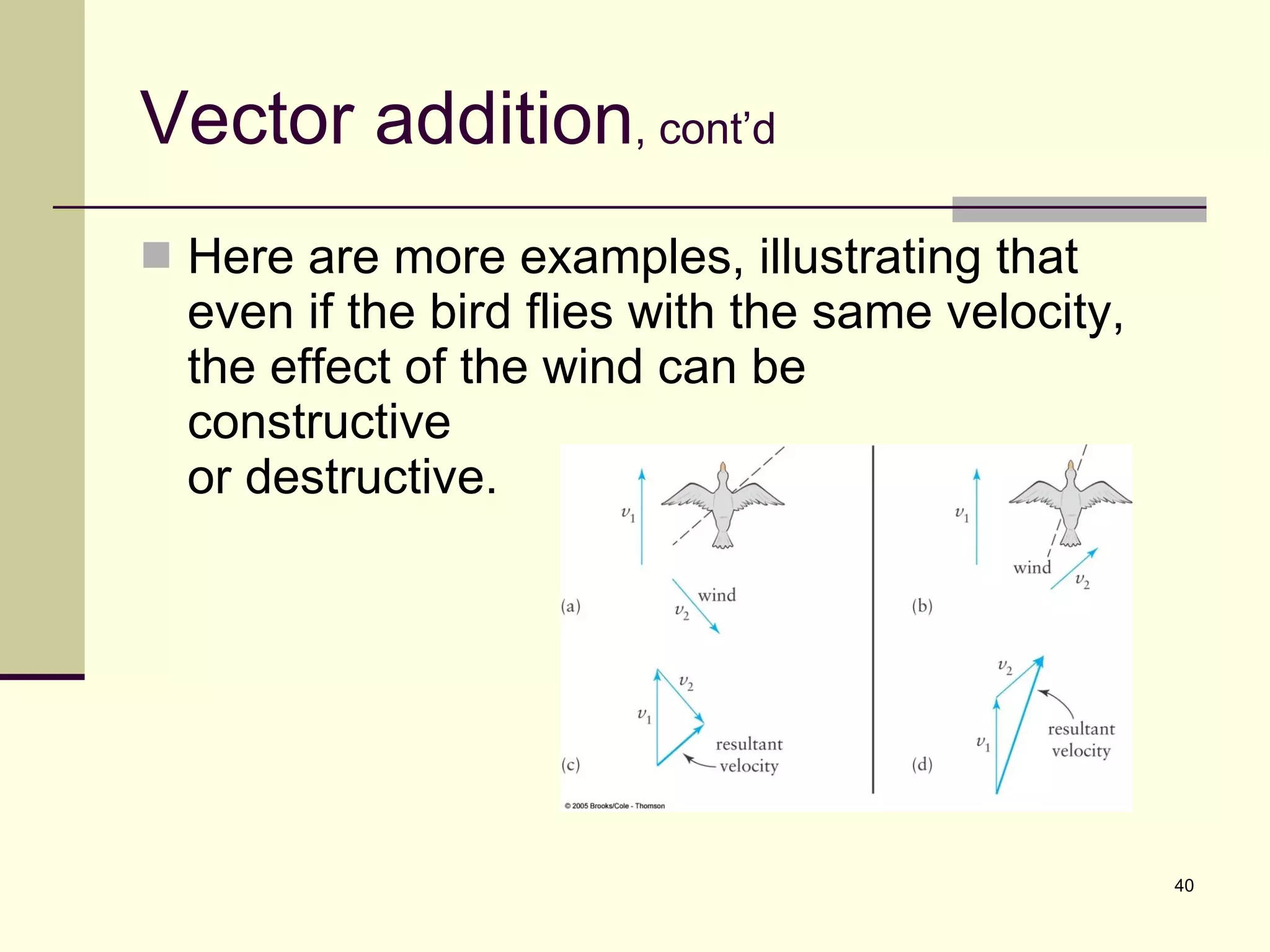 Vector addition , cont’d Here are more examples, illustrating that even if the bird flies with the same velocity, the effect of the wind can be  constructive  or destructive. 