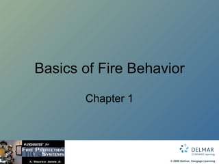 Basics of Fire Behavior Chapter 1 