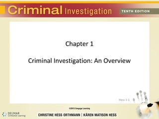 Chapter 1

Criminal Investigation: An Overview




                              Hess 1-1
 