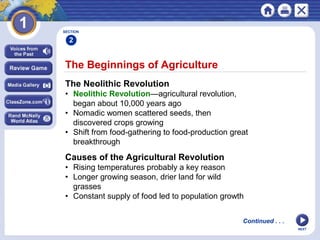 NEXT
The Beginnings of Agriculture
Continued . . .
The Neolithic Revolution
• Neolithic Revolution—agricultural revolution,
began about 10,000 years ago
• Nomadic women scattered seeds, then
discovered crops growing
• Shift from food-gathering to food-production great
breakthrough
Causes of the Agricultural Revolution
• Rising temperatures probably a key reason
• Longer growing season, drier land for wild
grasses
• Constant supply of food led to population growth
SECTION
2
 