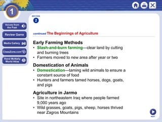 NEXT
SECTION
2
Early Farming Methods
• Slash-and-burn farming—clear land by cutting
and burning trees
• Farmers moved to new area after year or two
continued The Beginnings of Agriculture
Domestication of Animals
• Domestication—taming wild animals to ensure a
constant source of food
• Hunters and farmers tamed horses, dogs, goats,
and pigs
Agriculture in Jarmo
• Site in northeastern Iraq where people farmed
9,000 years ago
• Wild grasses, goats, pigs, sheep, horses thrived
near Zagros Mountains
 