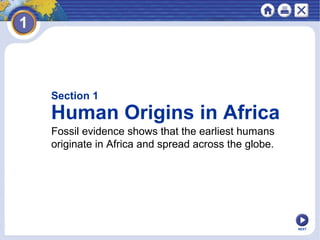 NEXT
Section 1
Human Origins in Africa
Fossil evidence shows that the earliest humans
originate in Africa and spread across the globe.
 