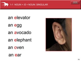 1-1 NOUN + IS + NOUN: SINGULAR

an elevator
an egg
an avocado
an elephant
an oven
an ear
14

 