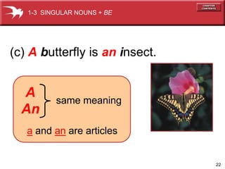 22 
1-3 SINGULAR NOUNS + BE 
(c) A butterfly is an insect. 
A 
An 
same meaning 
a and an are articles 
 