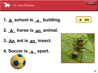 28 
1-3 Let’s Practice 
1. __ school is ___ building. 
A a 
2. ___ horse is ___ animal. 
A an 
3. ___ ant is ___ insect. 
An an 
4. Soccer is ___ sport. 
a 
a an 
 